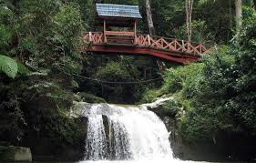 Lata iskandar terletak di cameron highland, iaitu antara tempat tarikan pelancong yang paling popular di malaysia. 18 Tempat Menarik Di Cameron Highland Yang Anda Boleh Kunjungi Seronok Cuti Ammboi