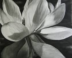 Choose your favorite hawaiian flower drawings from 61 available designs. 10 Beautiful Flower Drawings For Inspiration 2017