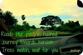 Haiga Haiku With Imagery Tree Watch Journey Imagery