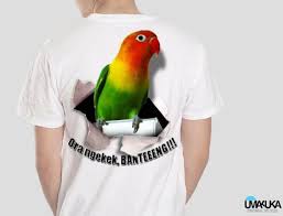 Lovebird ngekek panjang memiliki bentuk tubuh yang ideal. Jual Produk Kaos Burung Baju Lovebird Termurah Dan Terlengkap April 2021 Bukalapak