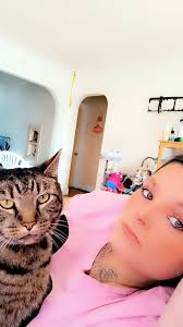 Missing Cat Bella in Leffell Lane Area, Ontario