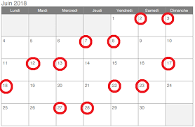 Days For French Transit Strike 2018 Calendar Holiday Decor Advent Calendar