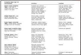Connective Tissue Biology Encyclopedia Cells Body Function Human Animal System Organs Blood Types