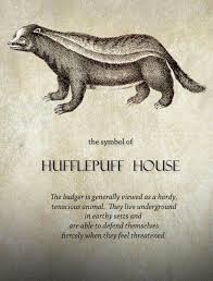Harry Potter Hogwarts And Hufflepuff Image Harry Potter Hufflepuff Harry Potter Houses Harry Potter Obsession