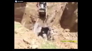 Yerin Altndan Ses Geldi Ve Insanlar Yeri Kazdilar Bakn Ne Cikti Dunya Sakalar Komedi Mp3 Medya Tv Paylasim Sosyalmedya Video Sakalar Komedi Videolar