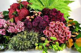 Maybe you would like to learn more about one of these? 250 Wholesale Flowers Prospect Flowers Ideas Wholesale Flowers Flower Delivery Flowers