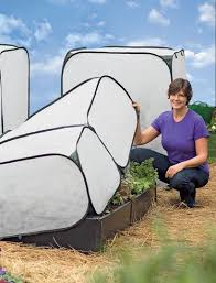Maybe It S Been Such A Weird Winter And Spring Frost Protection For Plants Seasonal Garden Home Garden Design