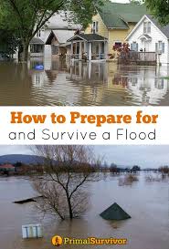 How To Prepare For And Survive A Flood Flood Preparedness Disaster Preparedness Survival Skills