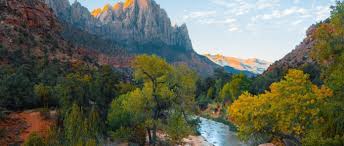 Jessica Marie Wicks, Author at Life Coach MBA