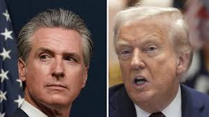 Baby animals come out to play at Yellowstone — but don't get too close