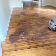 Pet accidents on hardwood flooring require a quick response. Refinish Hardwood Flooring With Pet Stains Patrick Daigle Hardwood Flooring