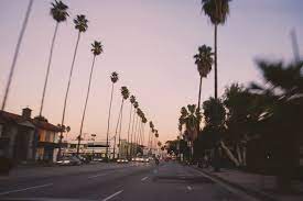 Sunset Blvd Travel Life Hollywood Night Travel