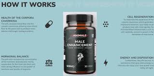 male sexual enhancement