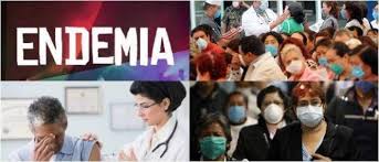 Ahora bien, ¿cuál es la diferencia entre pandemia, endemia y epidemia? Endemia Que Es Cuando Una Enfermedad Emergente Se Vuelve Endemica Y Determinantes Del Riesgo Arriba Salud