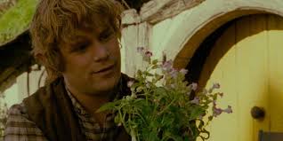 Lord Of The Rings: 10 Ways Samwise Gamgee Is Different In The Movies From  The Books