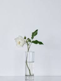 Maybe you would like to learn more about one of these? 5 Flower Trends Expected To Surge In Popularity In 2021 Blog On Thursd