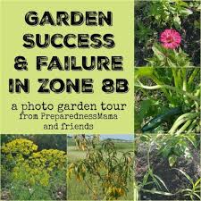 8 Steps To Garden Success In Zone 8b Preparednessmama Texas Gardening Backyard Garden Layout Vegetable Garden Markers