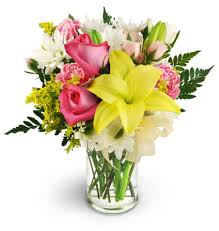 Candidatura rapida1 g1 giorno fa. The Prettiest Picture Kitchener On Florist