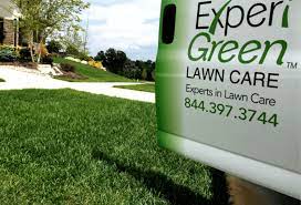 After our licensed lawn specialists assess your property, they will determine the customized treatment. Lawn Care Detroit Mi Experigreen