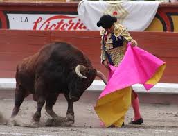 Me voy a morir si no toreo”: “El Zapata” – DE SOL Y SOMBRA