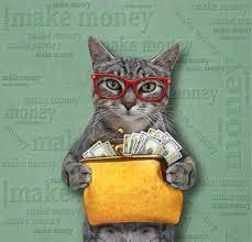 Smart Cat Glasses Holds American Dollars White Background — Stock Photo ©  Iridi #203570564