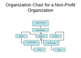 non profit organizational chart 5 best samples