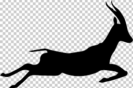 How to draw an impala animal step by step. Gazelle Impala Silhouette Drawing Png Clipart Animals Antelope Artwork Black Black And White Free Png Download
