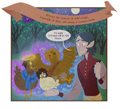 Wild Magic The Handbook Of Heroes