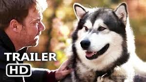 Cartoon movies jock the hero dog online for free in hd. Hero Dog The Journey Home Trailer 2021 Adventure Movie Youtube