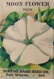 Maybe you would like to learn more about one of these? Pin By Kristine Jonsson On Vintage Seeds Flower Seeds Packets Moon Flower Vintage Seed Packets