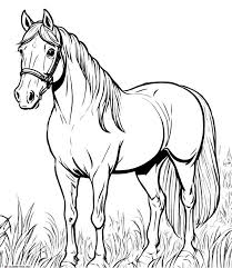 coloring page horse