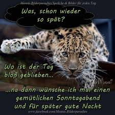 Guten morgen, einen schönen sonntag. Sonntag Bilder Lustig Bilder Und Spruche Fur Whatsapp Und Facebook Kostenlos