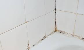 And if there are mineral deposits inside that water, as there often is, you'll get that white, kind of crusty, powdery sort of look sitting on everything. 7 Tips On How To Clean Shower Tile
