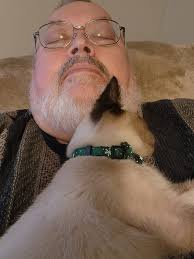 Such a sweet little family 🦝