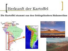Die Kartoffel Kommt Nach Europa. - Ppt Video Online Herunterladen