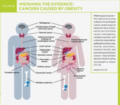 Pin On Cancer Facts And Figures