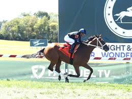 Neecie Marie Surges Clear In Ladies Marathon