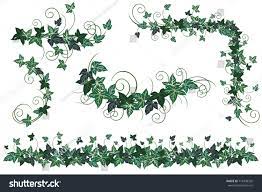 ivy vines set of realistic vector illustrations of ivy vines isolated on white background for floral decorative design リメイクシート 100均 リメイクシート 100均