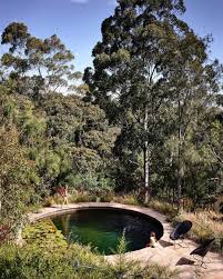 Placesweswim On Instagram On Residential Bush Block Just 10 Minutes From The Melbourne Cbd Is This Living Pool System Pool Landscaping Round Pool Garden Pool