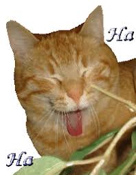 Rire Gifs Animés
