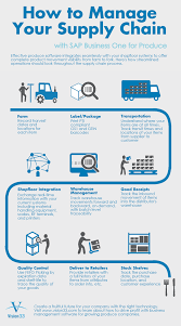 Take A Look At Vision33s Supply Chain Infographic To See A