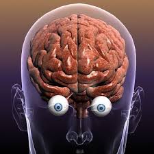 Brain Top Eyes Google Search Food Breakfast