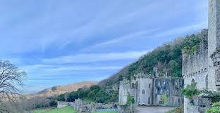 Star dame arlene phillips is taking no chances, having now trademarked her name. View 4 Picture Of Gwrych Castle Abergele Tripadvisor