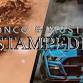The Mustang & Bronco Stampede Show @ Lookout Ford event image