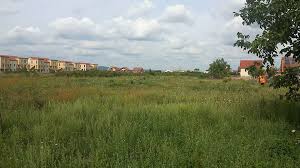 Vanzare teren extravilan in suprafata de 15.662 mp format din 4 loturi : Teren Intravilan De Vanzare Sanmartin Jud Bihor T0048