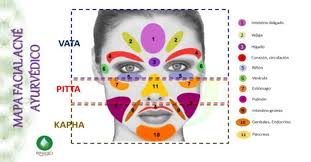 Mapa Facial Ayurvédico del Acné - Renaced