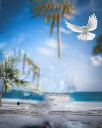 500 Cb Background Hd 2021 Free Stock Download Now Also it allows drawing (on the photo, blank, or background), thematic contests and photo search.