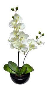 Check spelling or type a new query. Uk Gardens Large White Orchid Artificial Potted Plant 46cm Tall With Silk Flowers In A Ceramic Round Black Planter Pot House Office Or Indoor Use Stunning Houseplant Buy Online In China