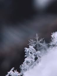Find & download free graphic resources for snowflakes. Best Snowflake Pictures Hd Download Free Images On Unsplash