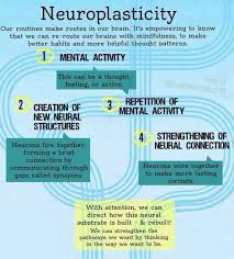 Neuro Plasticity 3 3 Neuroplasticity Brain Based Learning Psychology